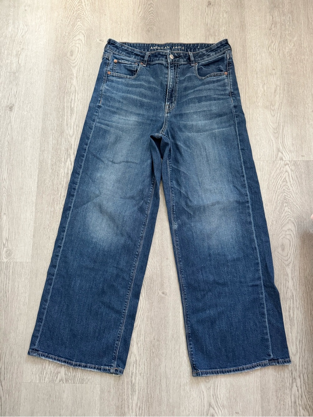 American Eagle Outfitters High Rise Baggy Wide Leg Jeans